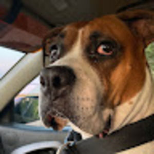 Meet your Posher, Keith